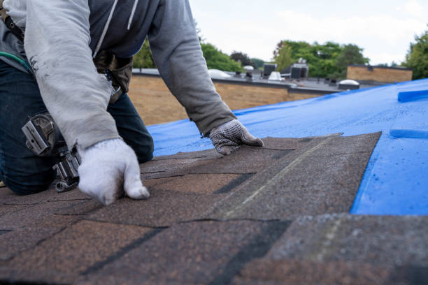 Best Residential Roofing Contractor  in Hunter, TN