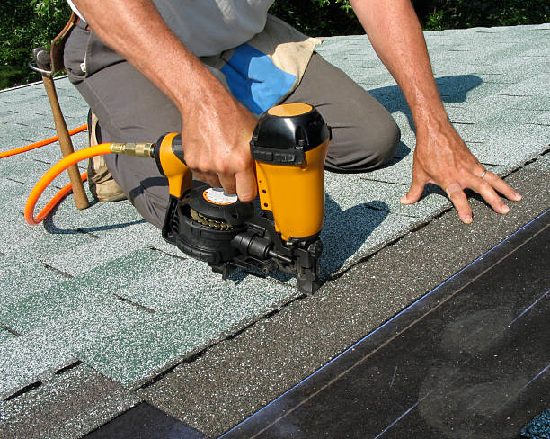 Best Roof Gutter Cleaning  in Hunter, TN
