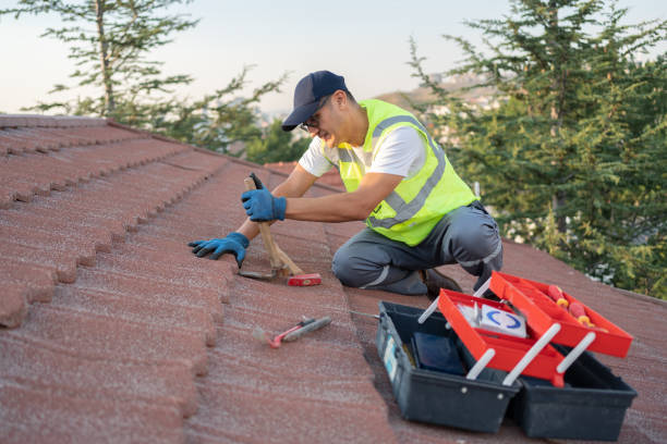 Best Roof Restoration Services  in Hunter, TN