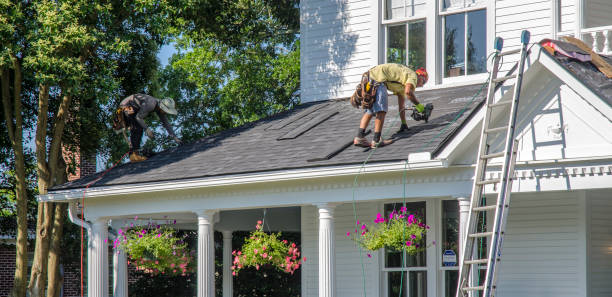 Best Flat Roof Repair Services  in Hunter, TN