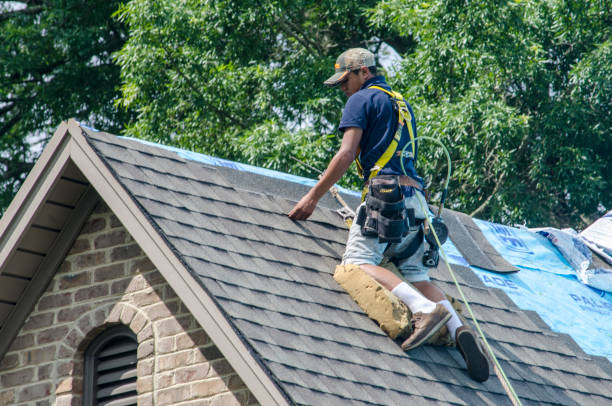 Best Roof Waterproofing Services  in Hunter, TN